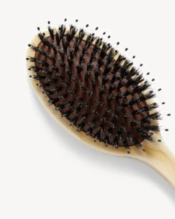 Everyday Hair Brush