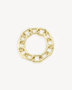 Interchangeable Link Bracelet