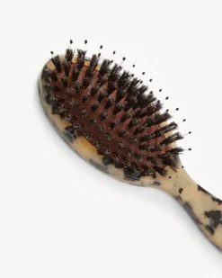 Travel Hair Brush