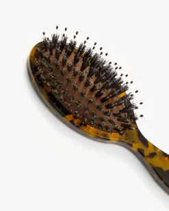 Travel Hair Brush