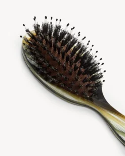 Travel Hair Brush